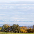SID_8655-Panorama-2.jpg